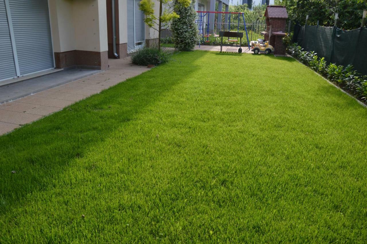 Apartments Babic Подстрана Экстерьер фото